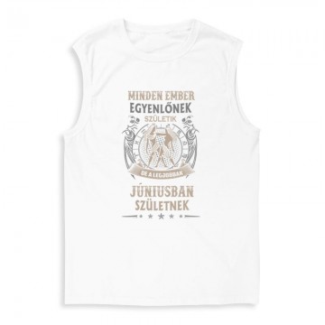Minden Ember Egyenlő Ikrek(06) Férfi Trikó