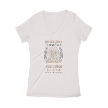 Minden Ember Egyenlő Ikrek(06) Női póló V kivágott