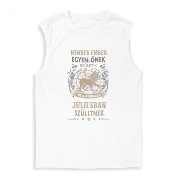 Minden Ember Egyenlő Oroszlán(07) Férfi Trikó