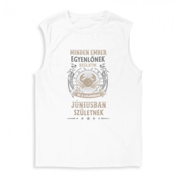 Minden Ember Egyenlő Rák (06) Férfi Trikó