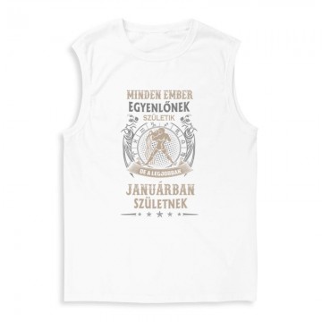 Minden Ember Egyenlő Vízöntő(01) Férfi Trikó
