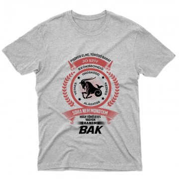 Tökéletes - Bak Férfi póló