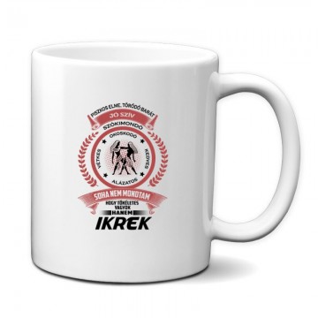 Tökéletes - Ikrek Bögre