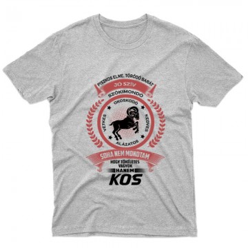 Tökéletes - Kos Férfi póló