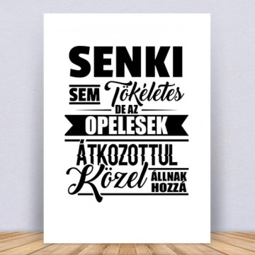 Senkisem Tökéletes Opeles Vászonkép