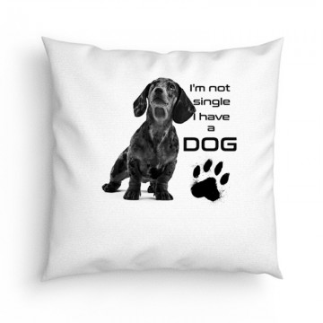 I'm Not Single (tacsi) Párna