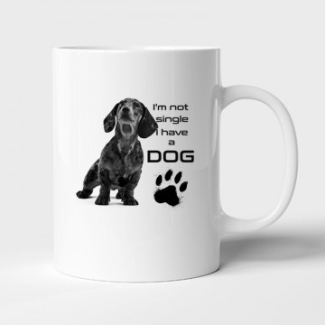 I'm Not Single (tacsi) Bögre