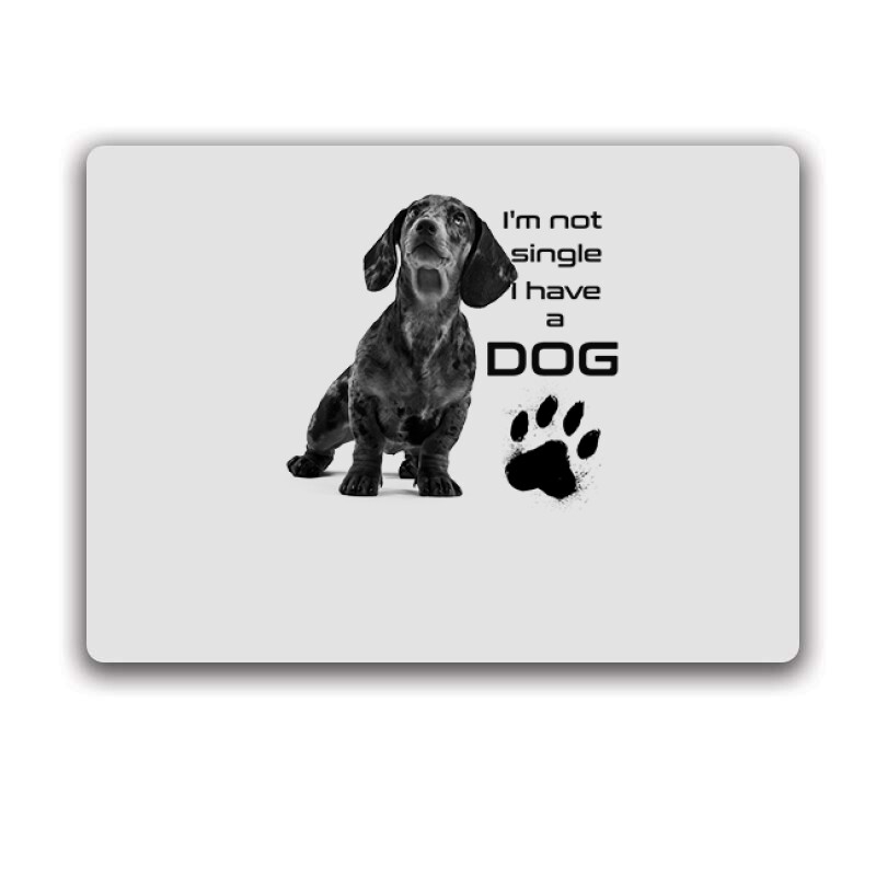 I'm Not Single (tacsi) Egérpad