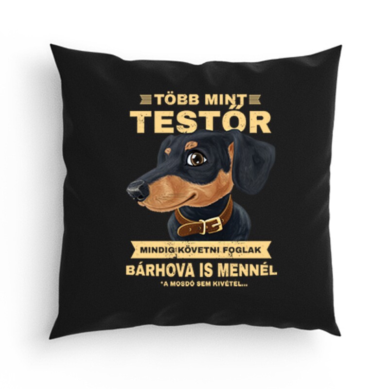 Több mint testőr (tacsi) Párna