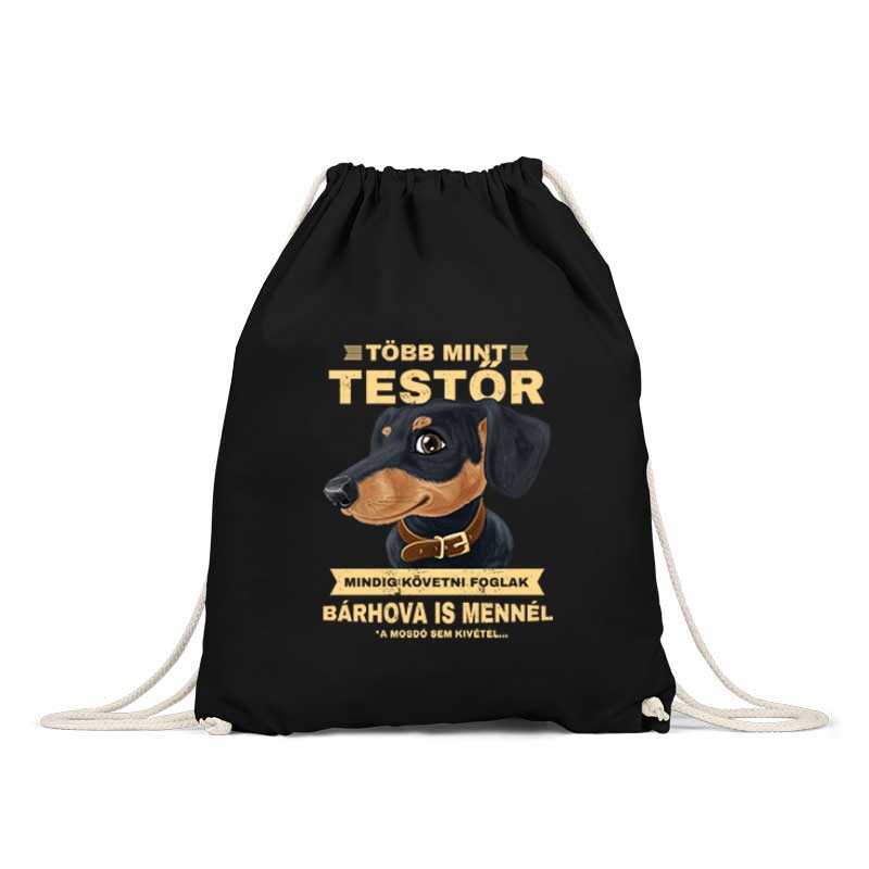 Több mint testőr (tacsi) Hátizsák