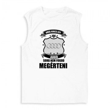 Amig nincs egy audid... Férfi Trikó