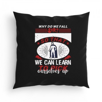 Why do we fall, sir Párna