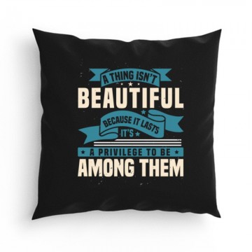 A thing isn’t beautiful Párna