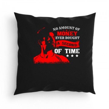 No amount of money Párna