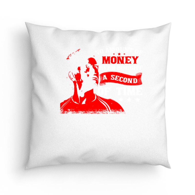 No amount of money Párna