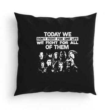 Today we don’t fight for one Párna