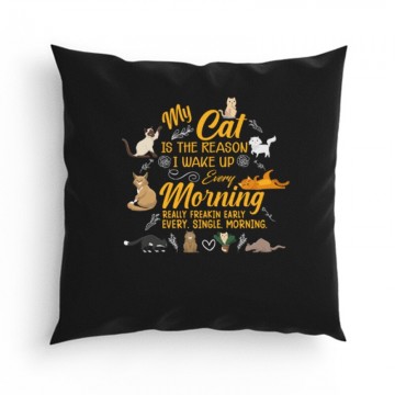 Every morming Párna