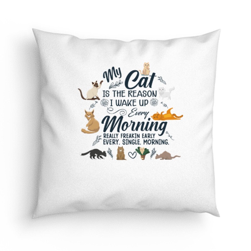 Every morming Párna