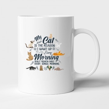 Every morming Bögre