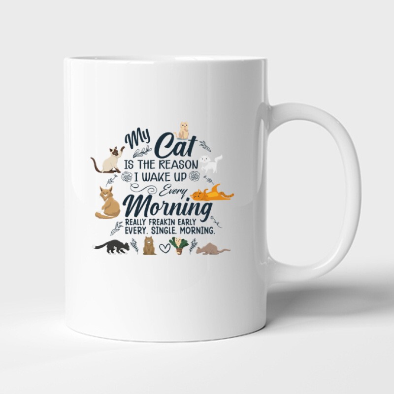 Every morming Bögre