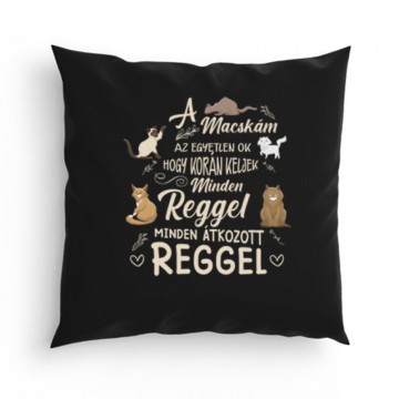 Az egyetlen ok Párna