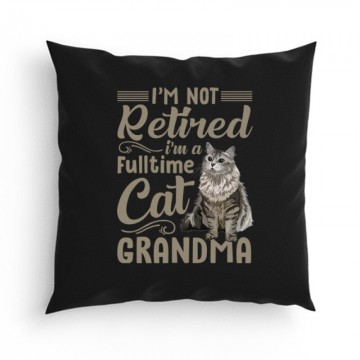 I'm not retired Párna