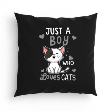 Just a Boy Who Love Cats Párna