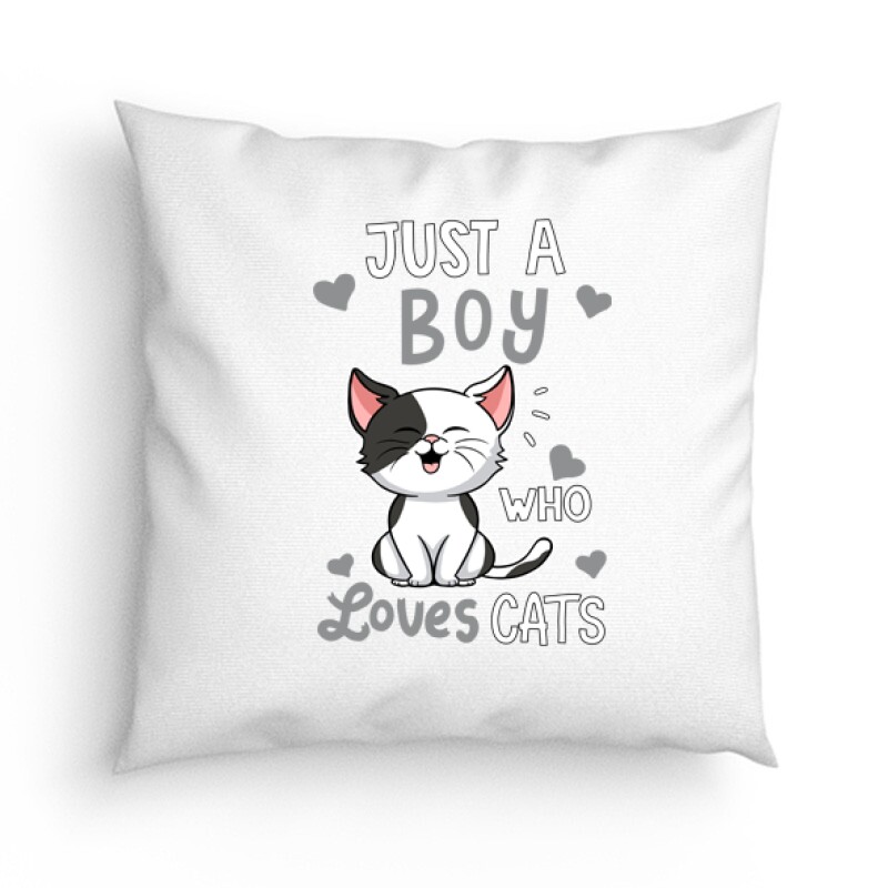 Just a Boy Who Love Cats Párna