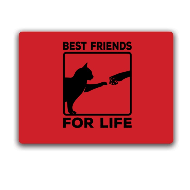 Best friends for Life Egérpad