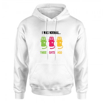 I was normal... Unisex Kapucnis Pulcsi