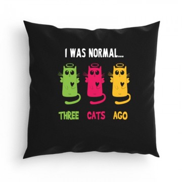 I was normal... Párna