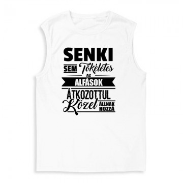 Senki Sem Tökéletes (Alfa) Férfi Trikó