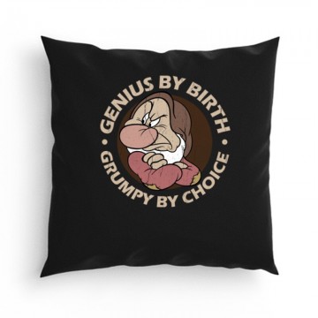 Genius by birth Párna