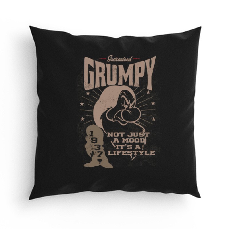 Not just a  mood it's a lifestyle Párna