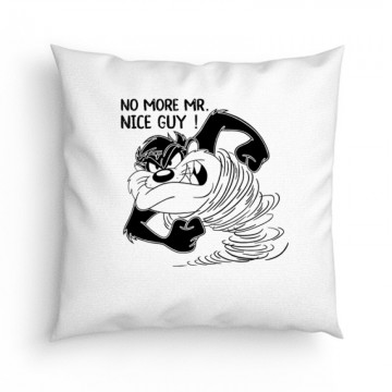 No more Mr. nice guy Párna