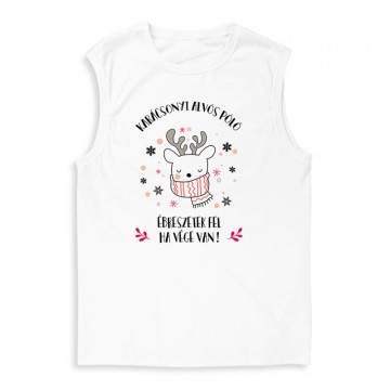 Karácsonyi Alvós Póló Férfi Trikó