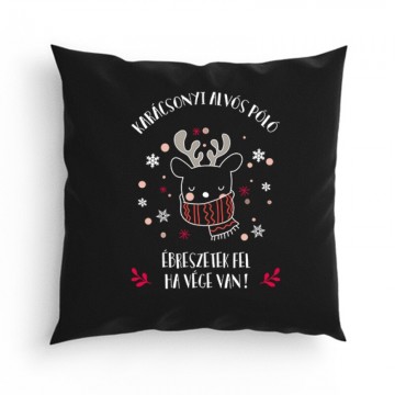 Karácsonyi Alvós Póló Párna