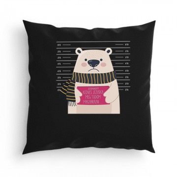 Meg Tudom Magyarázni Párna