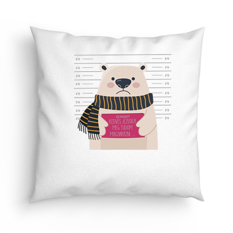 Meg Tudom Magyarázni Párna