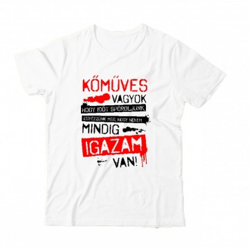 Kőműves vagyok mindig igazam van Gyermek Póló