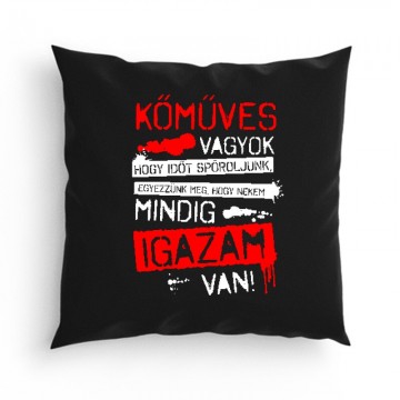 Kőműves vagyok mindig igazam van Párna