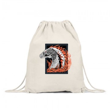 Frame of the dragon Hátizsák