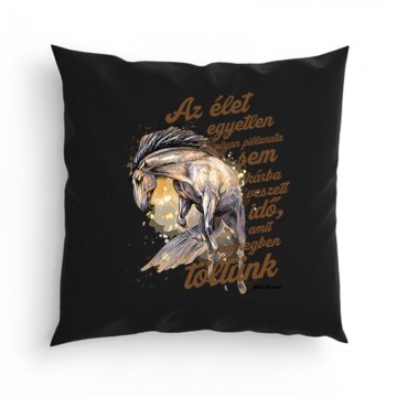 Az élet egyetlen pillanata sem Párna