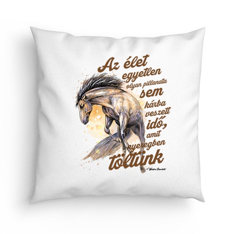 Az élet egyetlen pillanata sem Párna