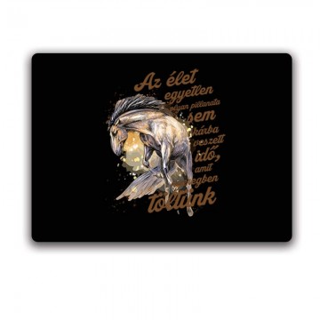 Az élet egyetlen pillanata sem Egérpad