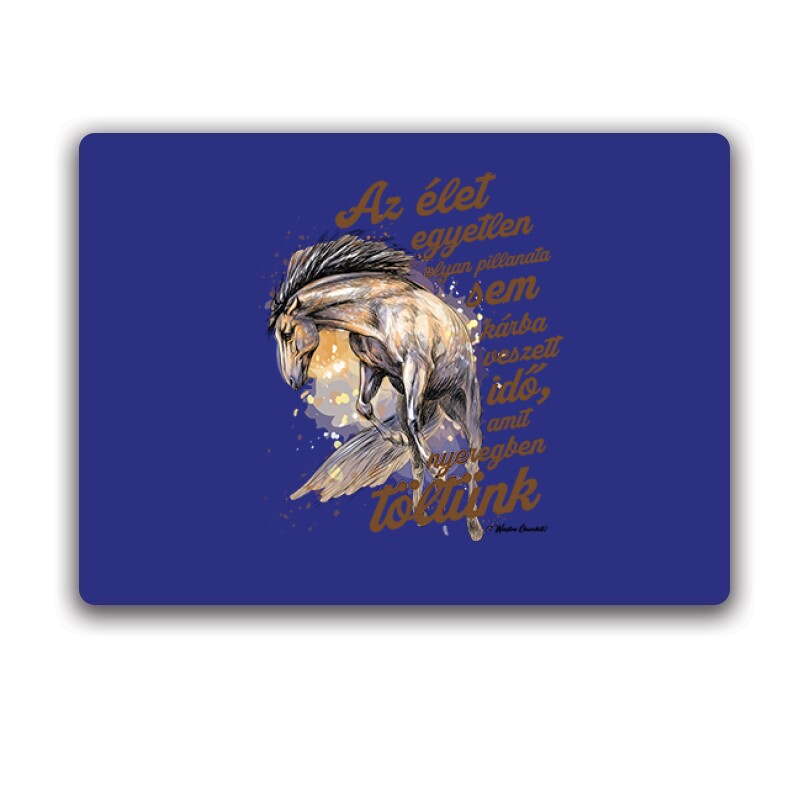 Az élet egyetlen pillanata sem Egérpad