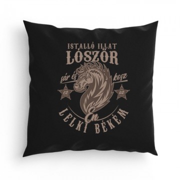 Istálló illat Párna