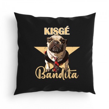 Kisgé a Bandita Párna