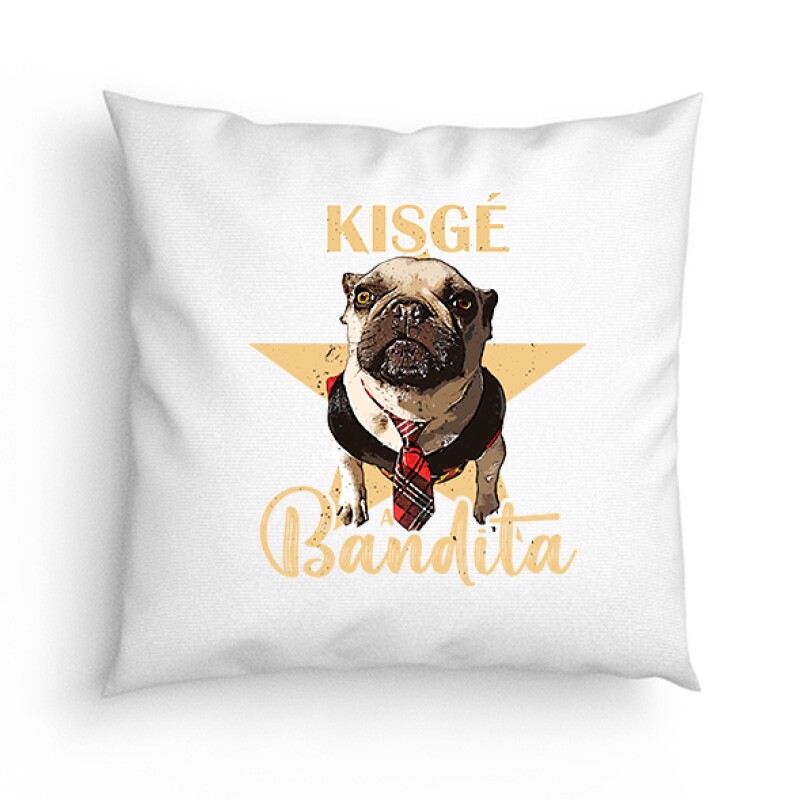 Kisgé a Bandita Párna