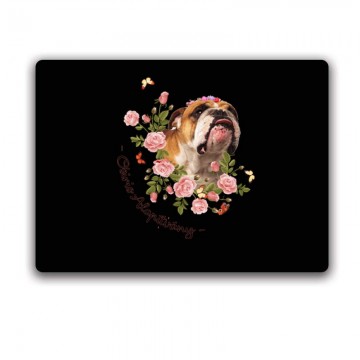 English with Rose Egérpad